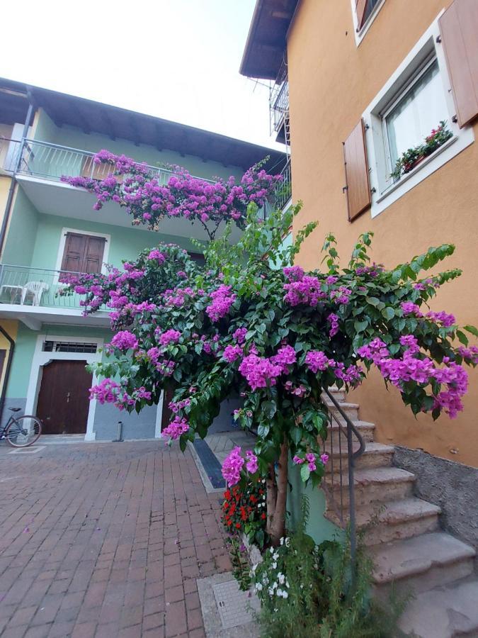 La Bougainville - Luxury Apartment Torbole Sul Garda Exterior foto